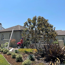 custom-re-stucco-in-fairbanks-ranch-ca 4