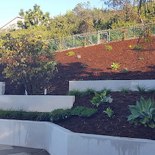 la-jolla-custom-home-re-stucco 5