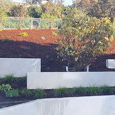 la-jolla-custom-home-re-stucco 6