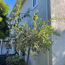 santa-barbara-stucco-installation-in-encinitas-ca 6